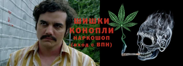 гидропоника Володарск