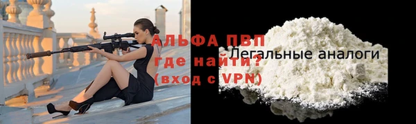хмурый Мегион