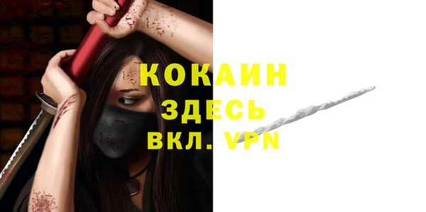 хмурый Мегион
