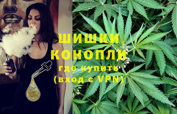 экстази Богородицк