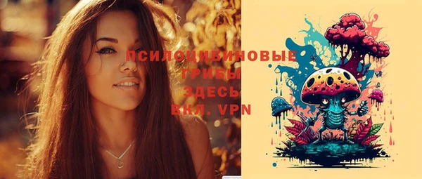 Альфа ПВП Медвежьегорск