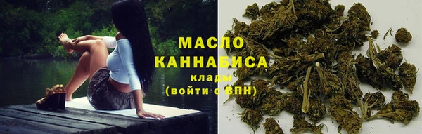 хмурый Мегион
