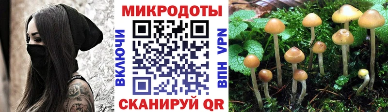 хочу наркоту  Бокситогорск  Галлюциногенные грибы ЛСД 